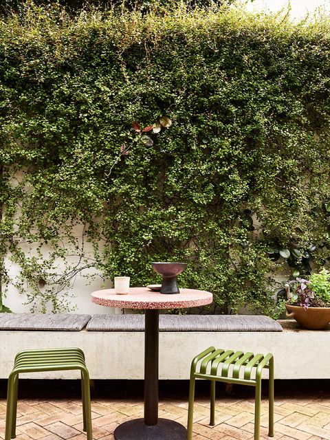 furniture, table, green, tree, outdoor table, outdoor furniture, botany, bench, outdoor bench, plant,
