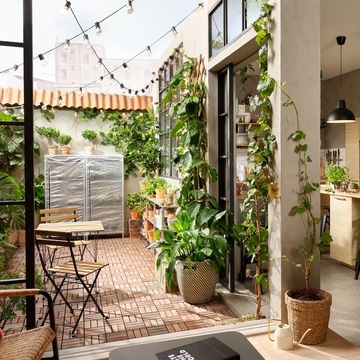 patio interior con plantas e iluminacion ikea