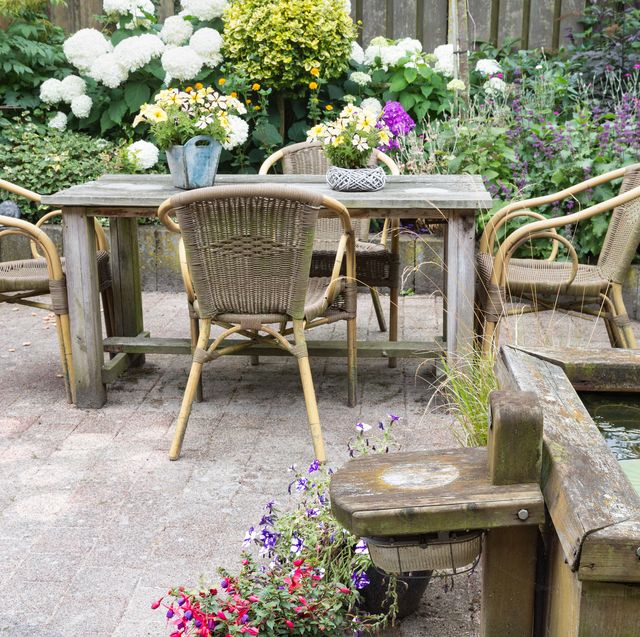 25 Best Patio Plants for Outdoor Decks and Porches