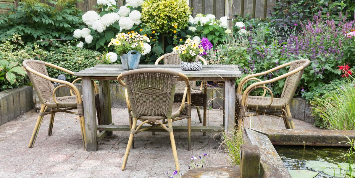 25 Best Patio Plants For Outdoor Decks And Porches
