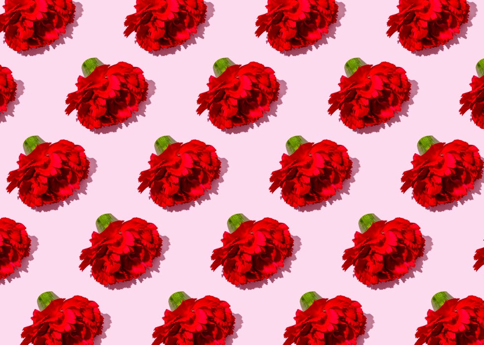 pattern of heads of red carnation flowers flat laid against pink background