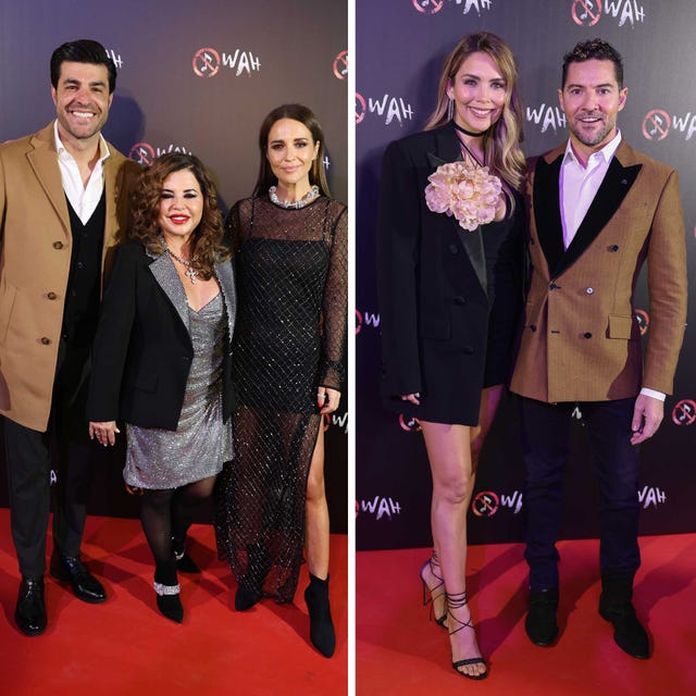 david bisbal los planes de su exitosa carrera musical