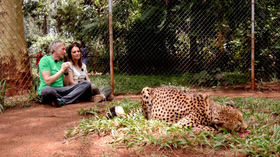 paula echevarría vive un gran susto en su aventura en planeta calleja