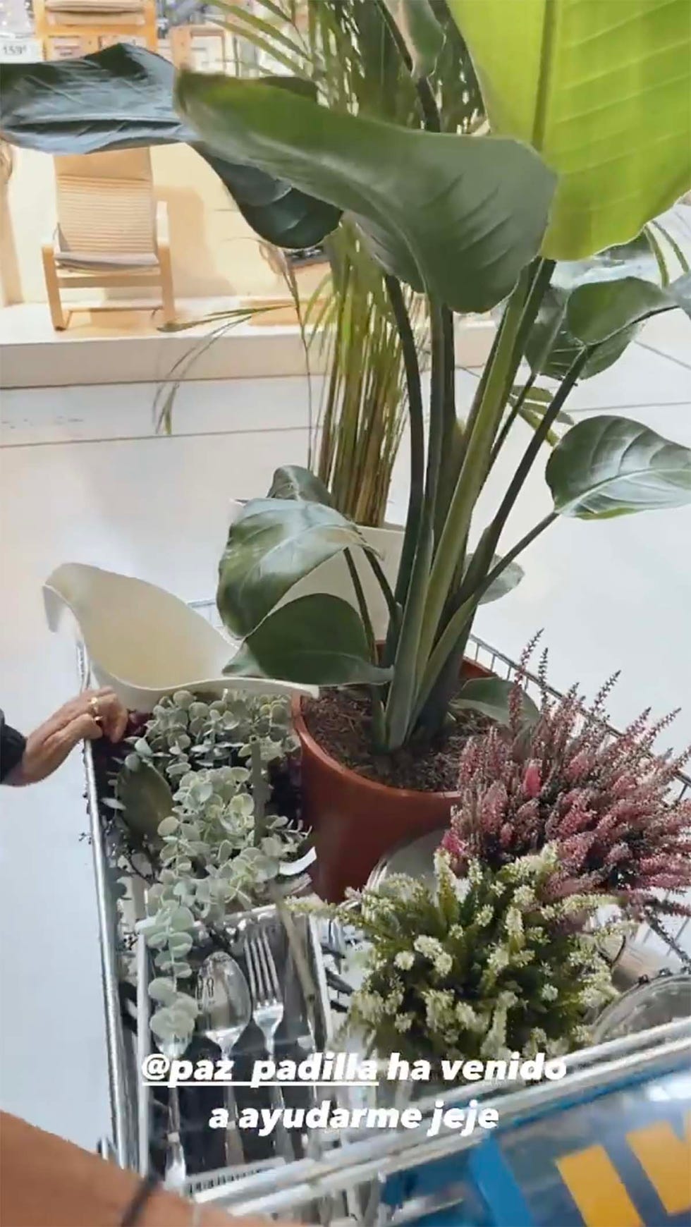 paz padilla compra hija