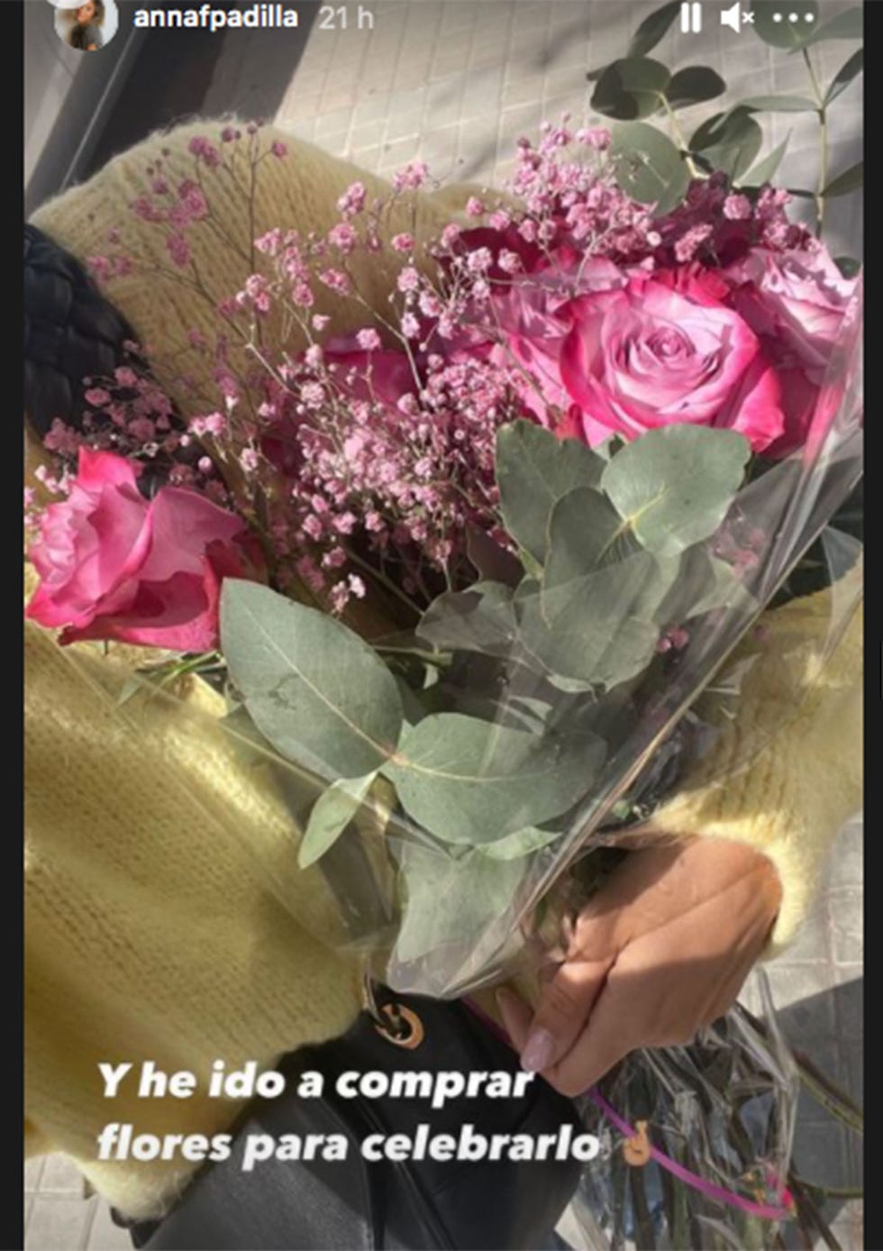 anna ferrer comparte su mejor plan para celebrar el fin de su cuarentena