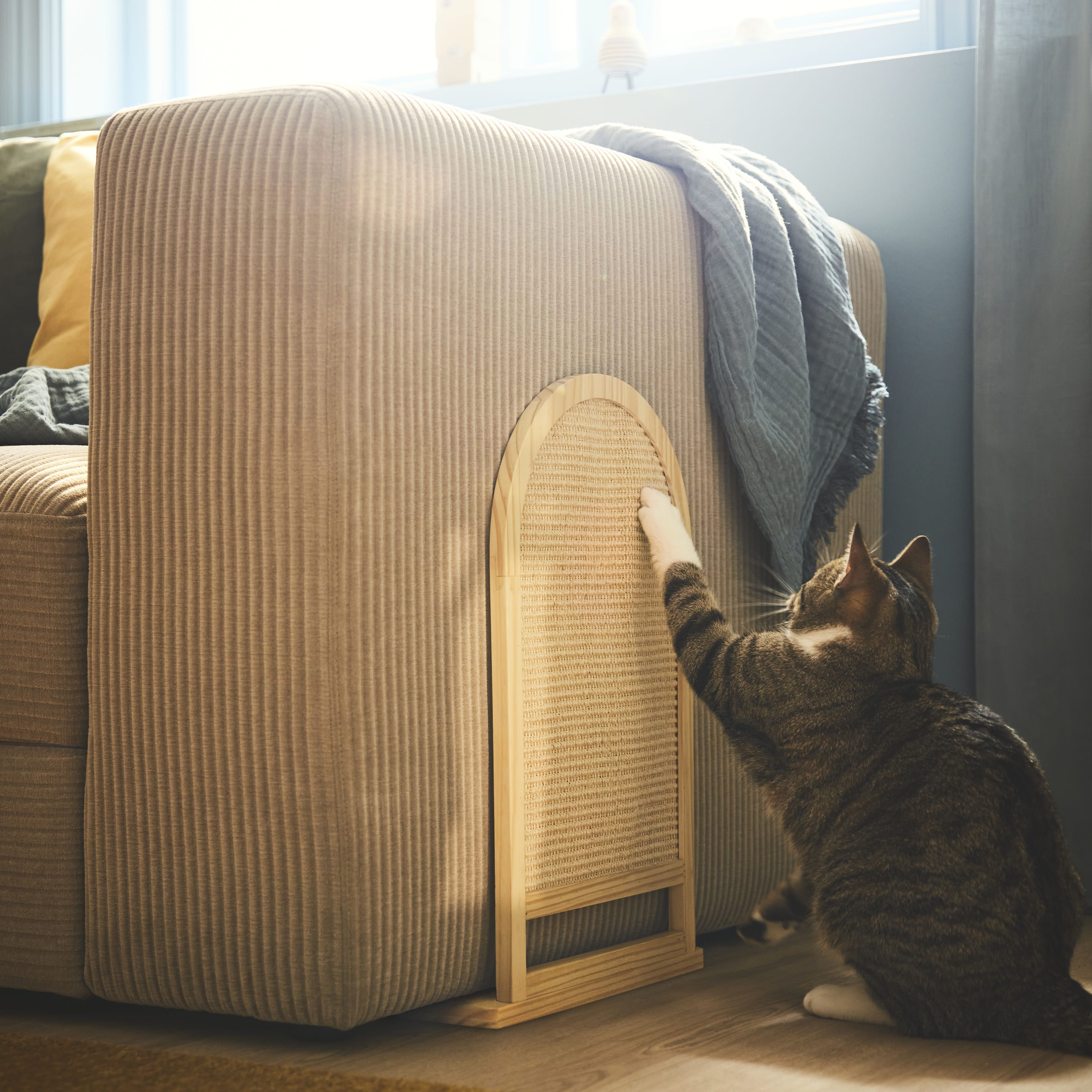 大切なペットとおしゃれに暮らす。見た目も美しい猫＆犬用グッズ8選