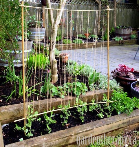 crea un telar para plantas con bambú y cuerdas