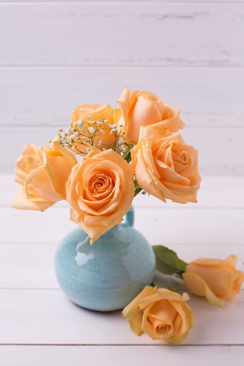 Peach roses flowers in blue vase on white wooden background.