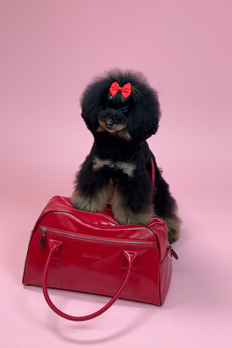 【peachy den】レトロシックなボウラーバッグ♪ Peachy Den's debut bag collection is Y2K arm candy dreams