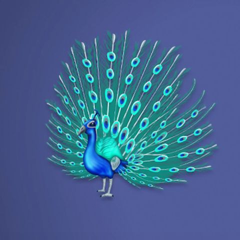 Peacock Emoji