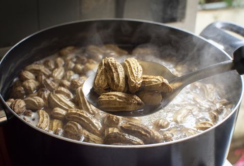 best state fair foods alabama peanuts boiled