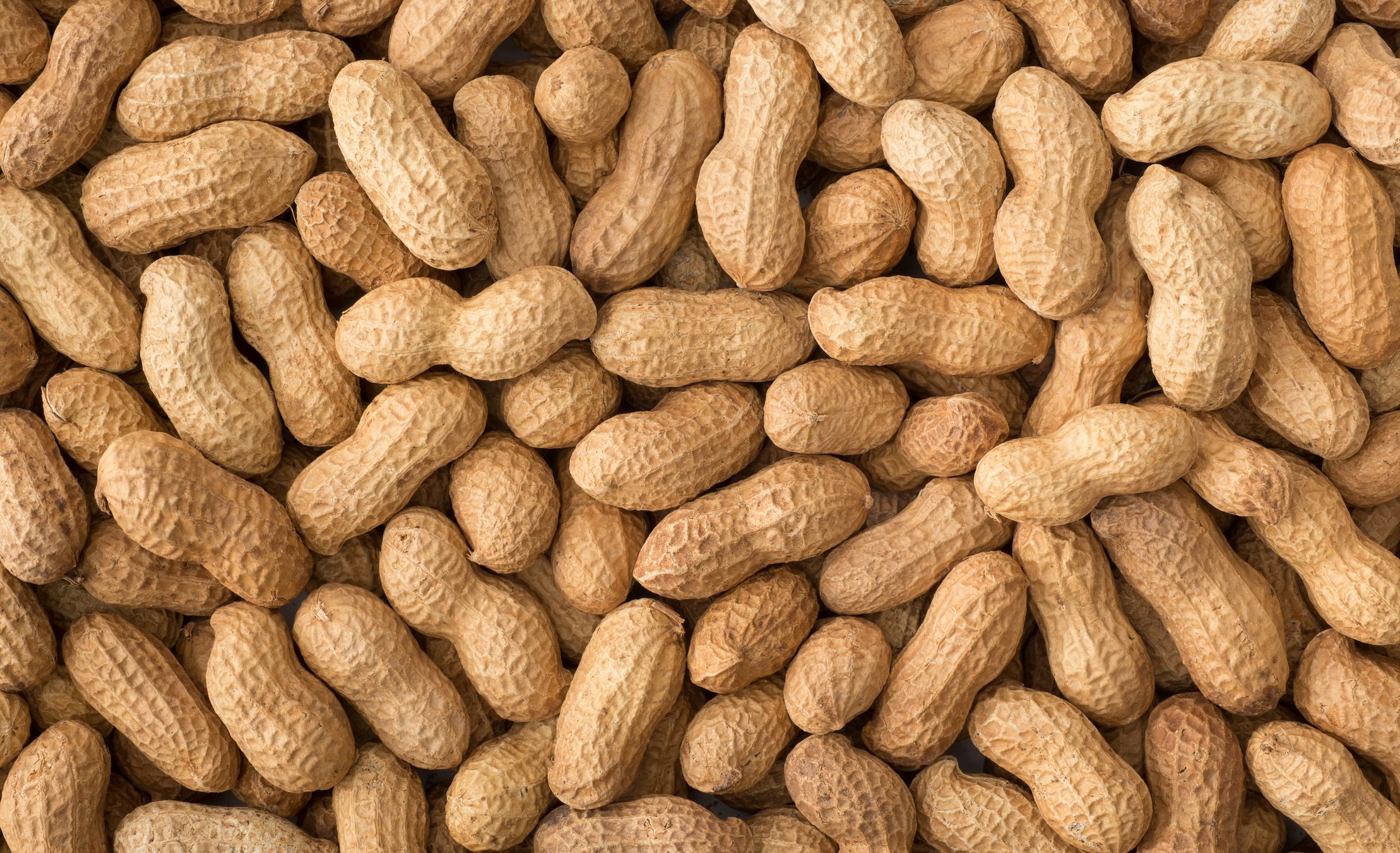 a peanut