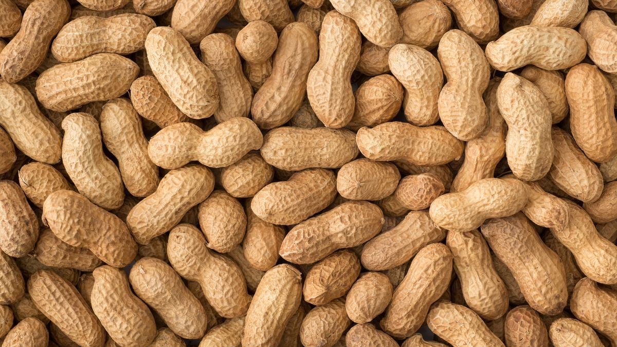 Growing Peanuts Is Actually Really Easy - How to Plant Peanuts in