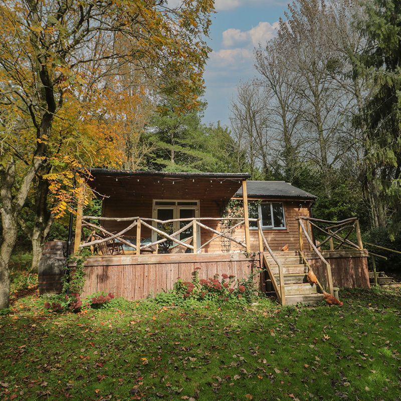 a woodland lodge in somerset available for glamping