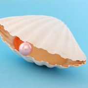 Scallop with Pink Pearl