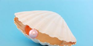 Scallop with Pink Pearl