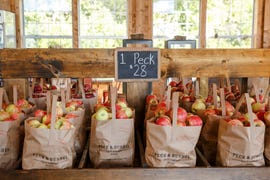 a collection of apples in bags for sale at peck and bushel organic orchard and barn in colgate, wisconsin