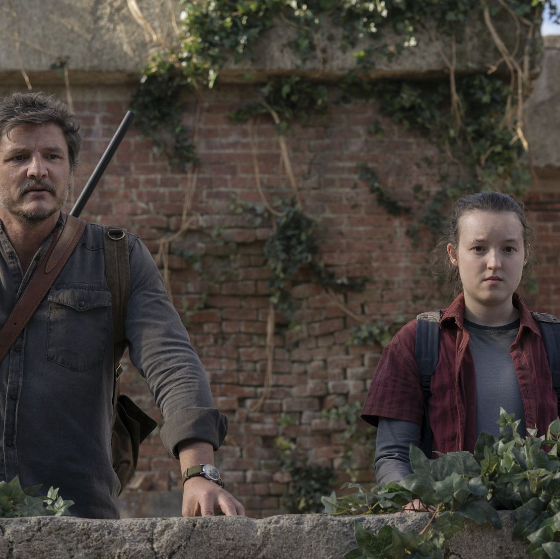 Watch The Last Of Us Season 1 Episode 6 Online - Stream Full Episodes