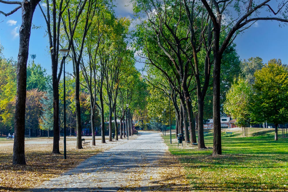 pellerina public park in turin piedmont, italy