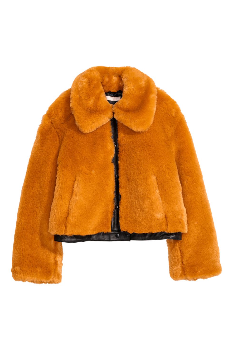 Fur clothing, Clothing, Fur, Outerwear, Orange, Jacket, Yellow, Coat, Sleeve, Hood, 