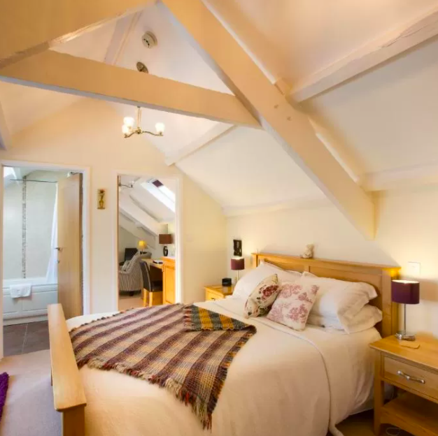 dog friendly bed and breakfasts in the uk