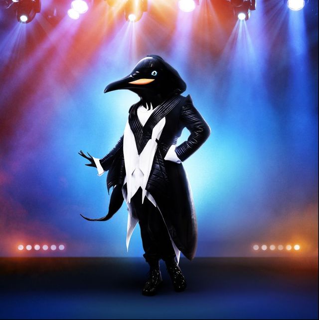 penguin masked singer