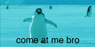 penguin come at me bro  