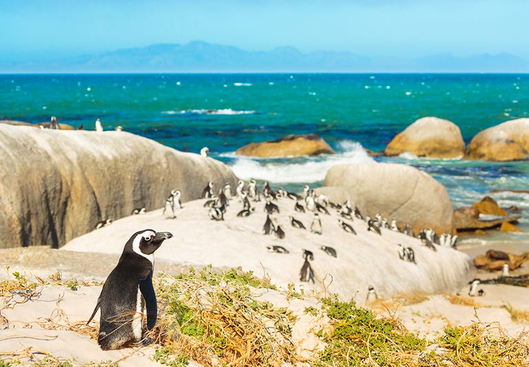 South Africa's Northern and Western Cape - things to do, places to stay ...