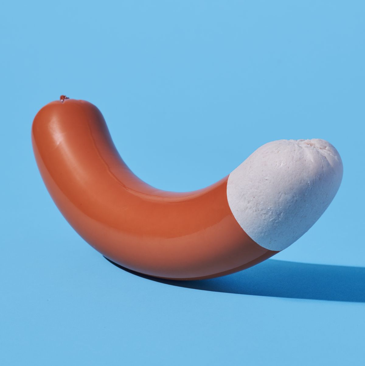 Everything You Need to Know About Your Penis