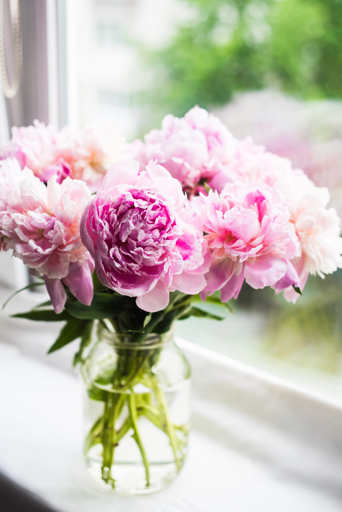 A Florist’s Free Hack To Longer-Blooming Peonies