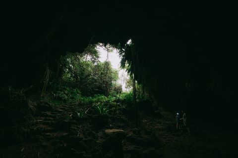people exploring jungle cave with headlamp, okinawa, japan