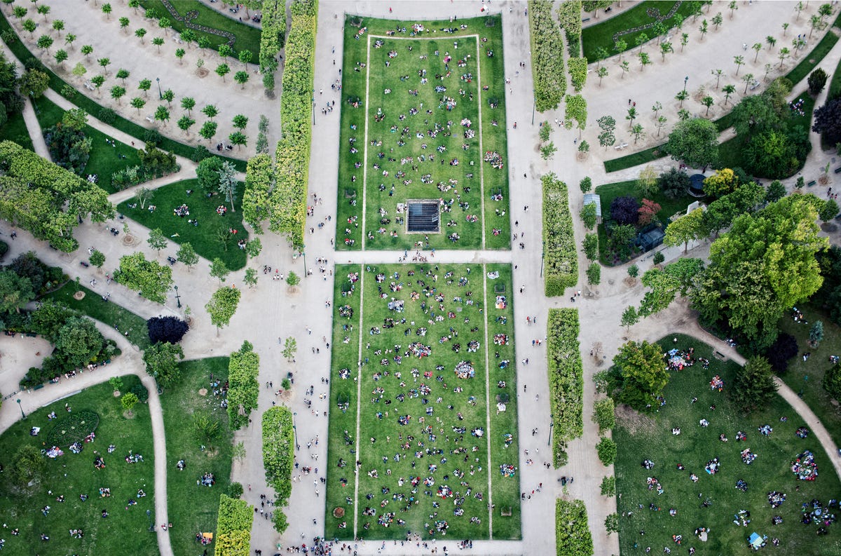 Orto verticale: un'idea di guerrilla gardening