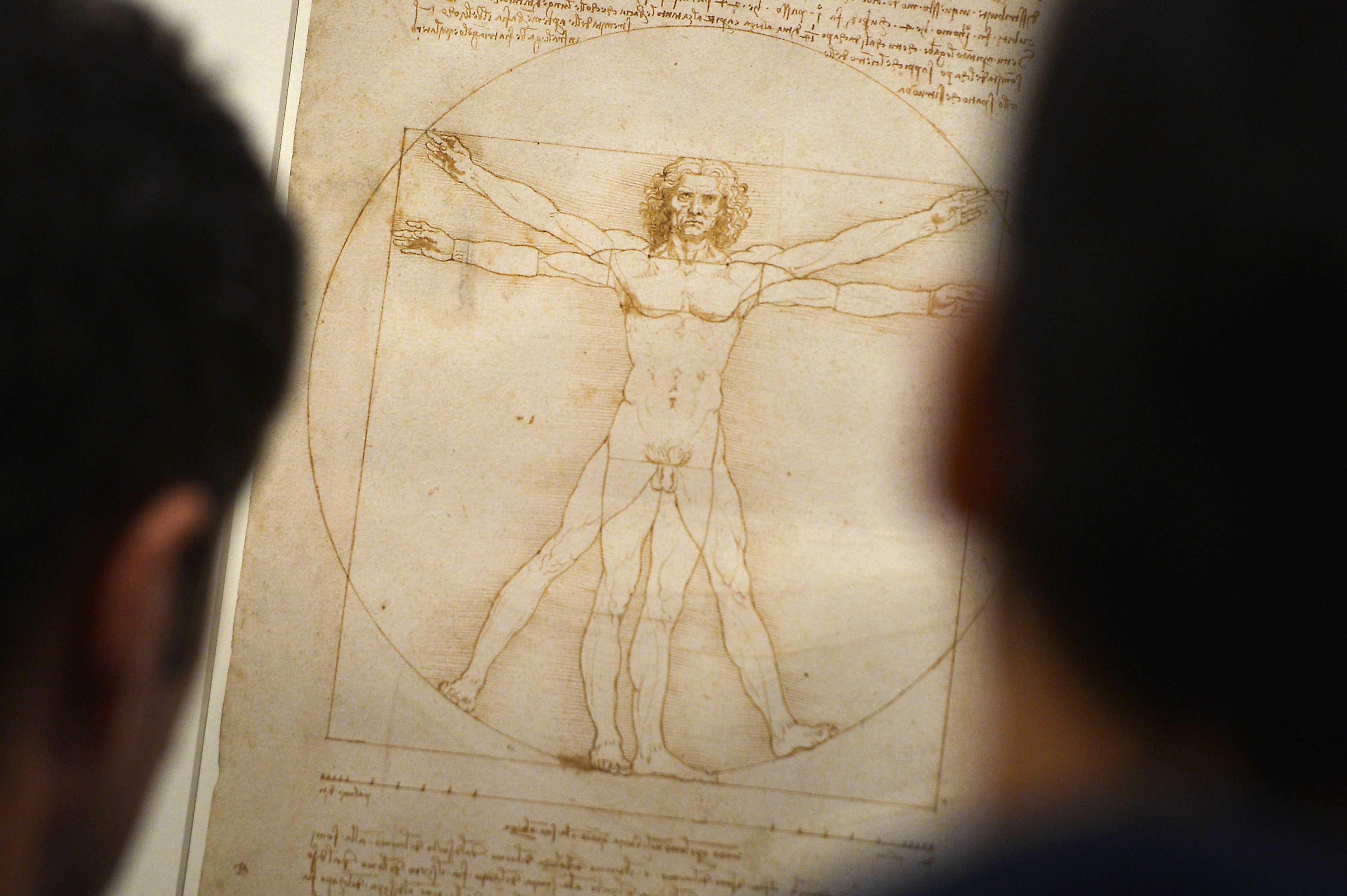people-look-at-the-vitruvian-man-a-drawing-by-leonardo-da-news-photo-1751507479.pjpeg