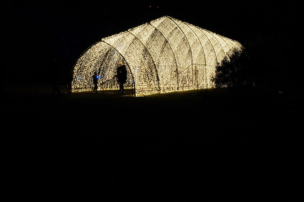 brooklyn botanical gardens puts on lightscape exhibit