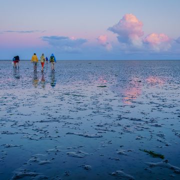 wadlopen tijdens zonsondergang