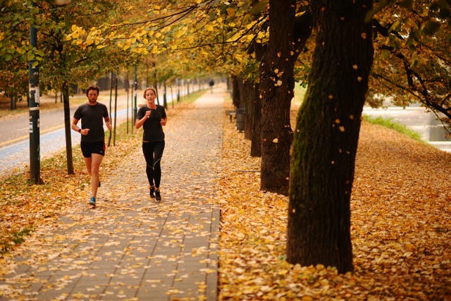 Running in autumn