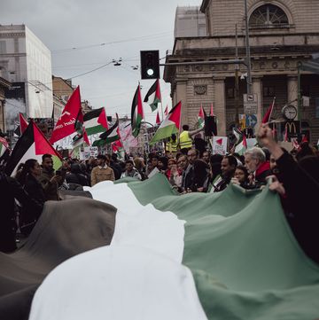 manifestazioni palestina