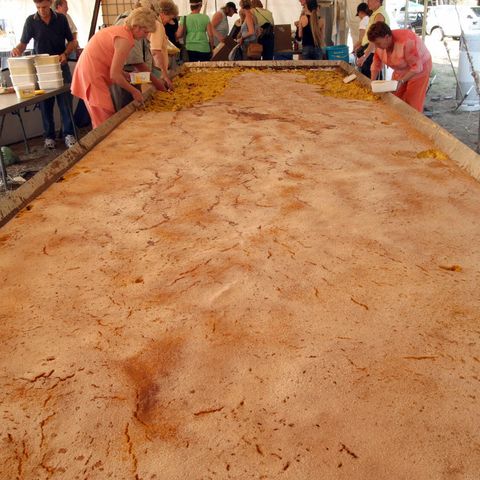 the largest pumpkin pie ever made
