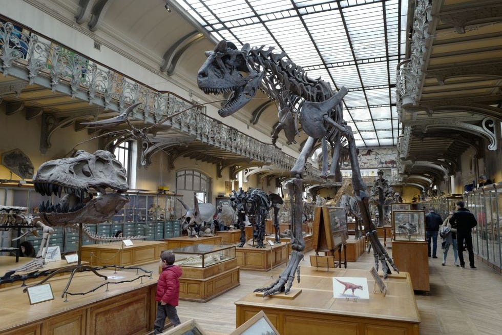 FRANCE-MUSEUM-MNHN