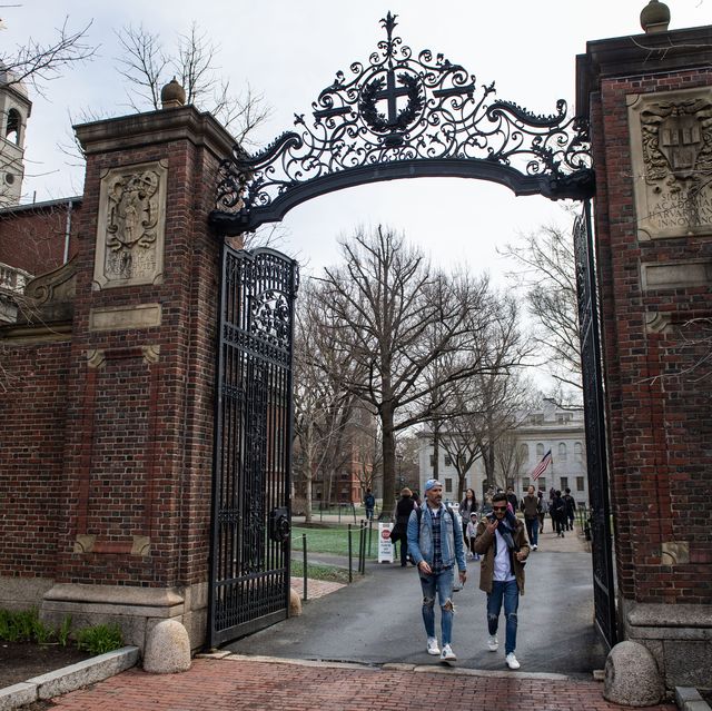 política dos EUA, conflito israelense e palestino, educação, Harvard