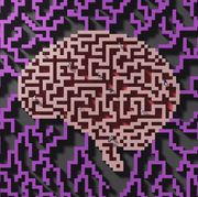 people walking in a  maze shaped as a brain