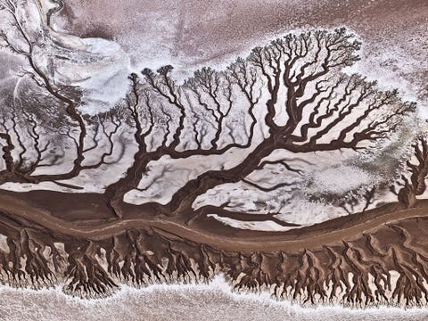 De rivier de Colorado is erg ondiep als gevolg van wateronttrekking ten behoeve van de landbouw Wanneer de rivier in Mexico in zee uitmondt is hij bijna drooggevallen Deze luchtfoto werd vanuit een Cessnavliegtuigje genomen