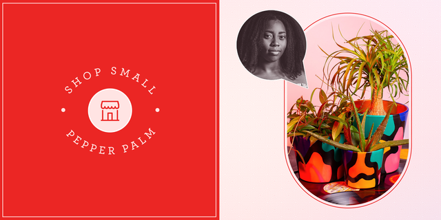 good housekeepings shop small initiative pepper palm