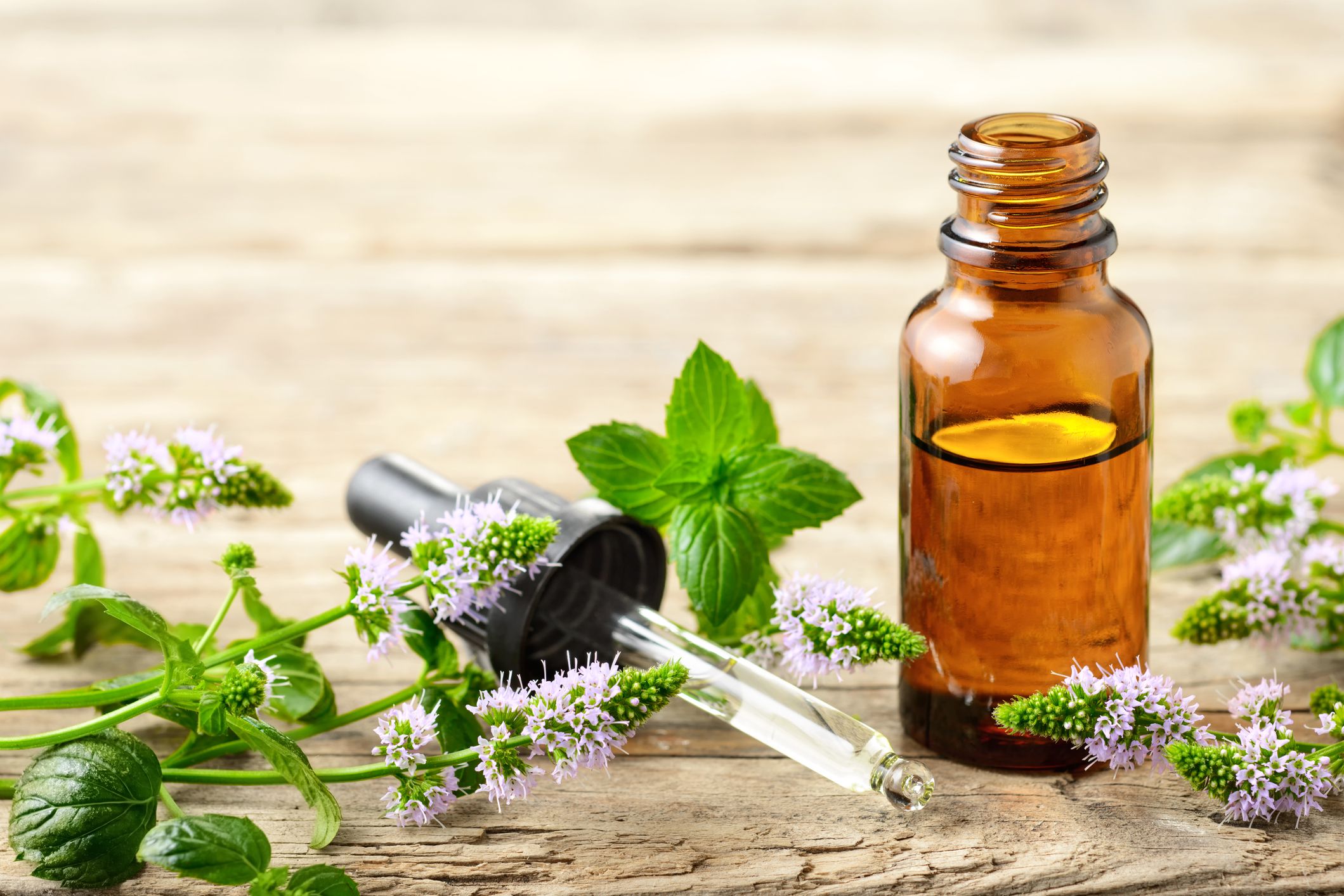 Cinnamon oil  Essential oils health, Essential oils herbs, Oils