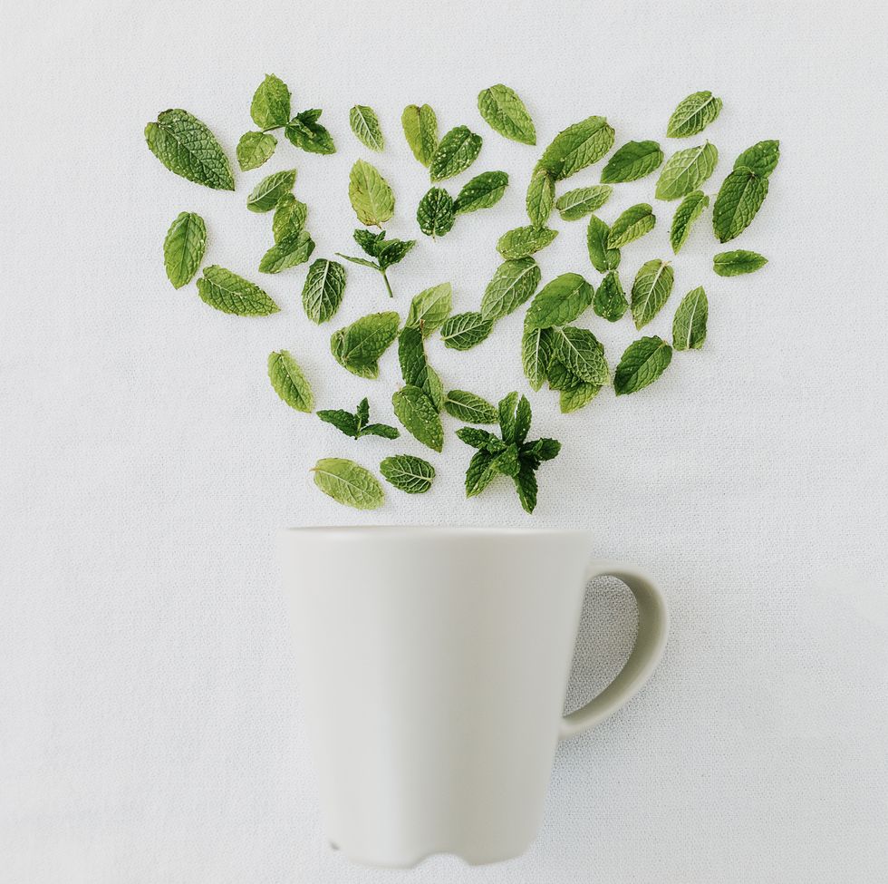 peppermint leaves fresh cut and scattered on white background with white mug making healthy herbal tea at home top view, isolated, copy space