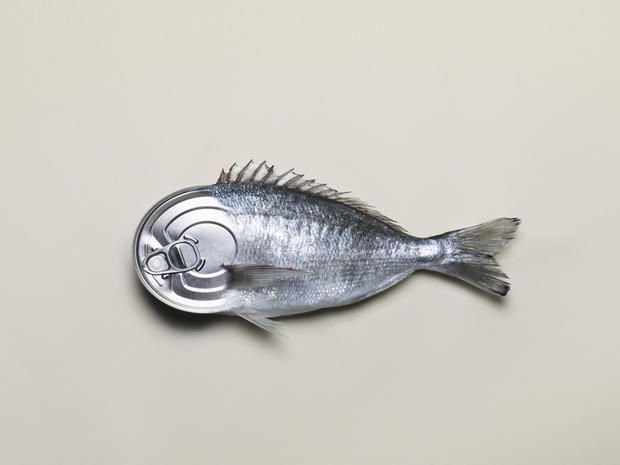 Fish, Fish, Silver, Metal, Silver, Tilapia, 