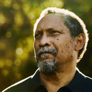 percival everett