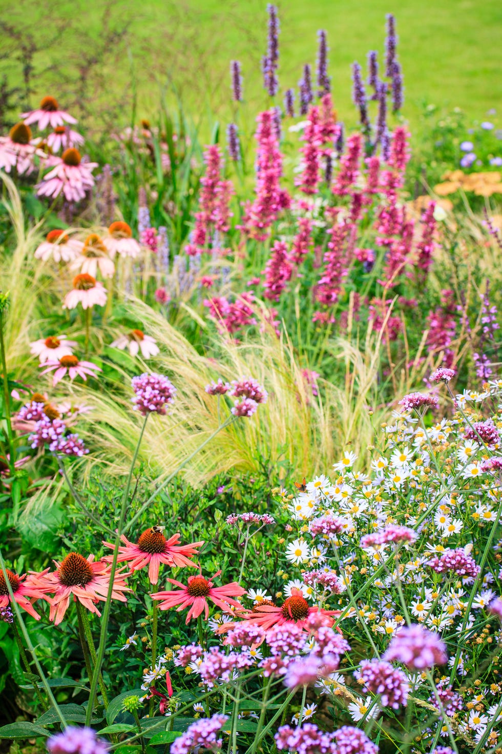 garden plans in annual and perennial flower bed with white chair in our garden in the northwest us