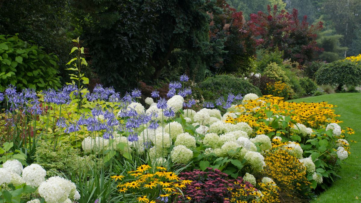 Green Oasis Best Plants to Flourish in Your Garden