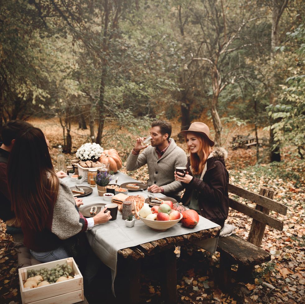 perfect autumn lunch outdoors